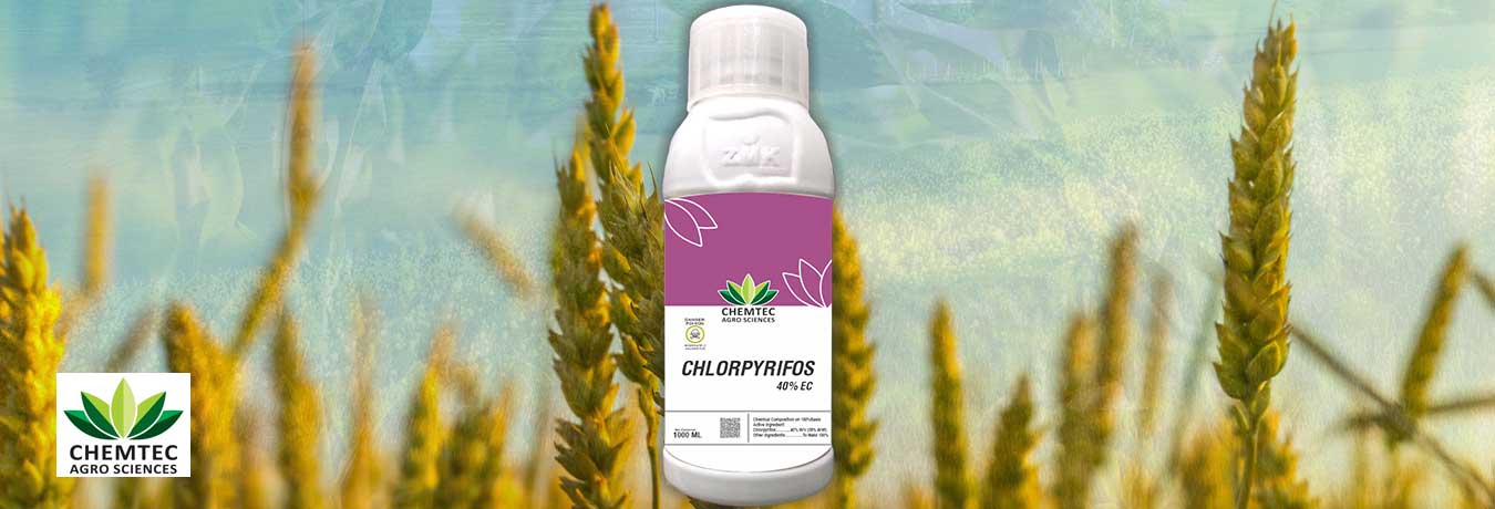chemtec-agro-sciences-05